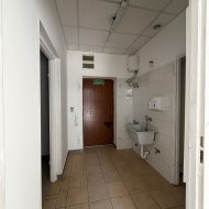 Lokal na wynajem